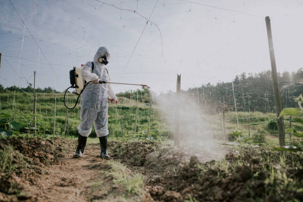 Best Best Pest Control Companies  in Bonner Springs, KS