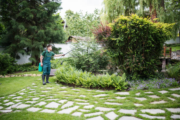 Best Best Pest Control Companies  in Bonner Springs, KS