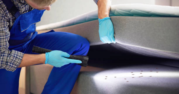 Best Pest Removal Services  in Bonner Springs, KS